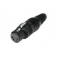 HICON XLR Buchse 4pol HI-X4CF-G