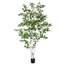 EUROPALMS Birkenbaum, Kunstpflanze, 210cm