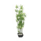 EUROPALMS Zierbambus in Dekoschale, künstlich, 120cm EUROPALMS Zierbambus in Dekoschale, künstlich, 120cm