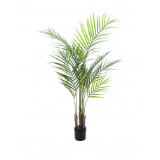 EUROPALMS Großblatt-Areca, Kunstpflanze, 125cm