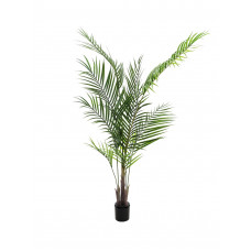 EUROPALMS Großblatt-Areca, Kunstpflanze, 165cm