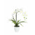 EUROPALMS Orchideen-Arrangement 1, künstlich