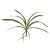 EUROPALMS Orchideenblatt (EVA), künstlich, grün, 45cm