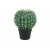 EUROPALMS Kugelkaktus, Kunstpflanze, 34cm