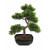 EUROPALMS Bonsai-Pinie, Kunstpflanze, 50cm