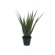 EUROPALMS Aloe-Vera Pflanze, Kunstpflanze, 60cm