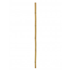 EUROPALMS Bambusrohr, Ø=5cm, 200cm