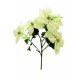 EUROPALMS Weihnachtsstern-Busch, cremefarben, 60cm