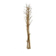 EUROPALMS Fenchelbund, getrocknet, gold, 160cm