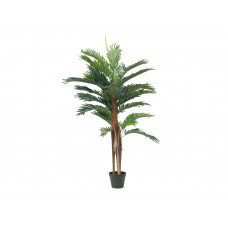 EUROPALMS Kentia Palme, Kunstpflanze, 120cm