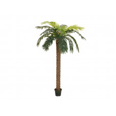 EUROPALMS Phönix Palme deluxe, Kunstpflanze, 300cm