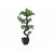 EUROPALMS Bonsai Pinie, Kunstpflanze, 95cm