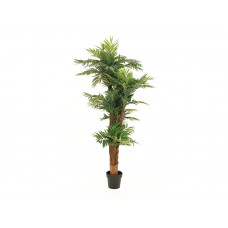 EUROPALMS Areca Palme, Kunstpflanze, 170cm