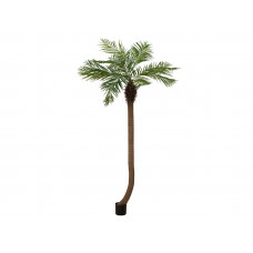 EUROPALMS Phönixpalme luxor gebogen, Kunstpflanze, 240cm