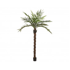 EUROPALMS Kentia Palme deluxe, Kunstpflanze  300cm