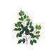 EUROPALMS Ficuszweig Benjamina, künstlich, 12x