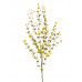 EUROPALMS Eukalyptuszweig, künstlich, gelb-grün, 110cm