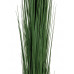 EUROPALMS Schilfgras, künstlich, dunkelgrün, 127cm