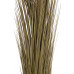 EUROPALMS Schilfgras, künstlich, khaki, 127cm