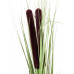 EUROPALMS Schilfgras mit Kolben, künstlich, hellgrün, 152cm