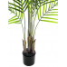 EUROPALMS Großblatt-Areca, Kunstpflanze, 125cm