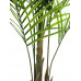 EUROPALMS Großblatt-Areca, Kunstpflanze, 165cm EUROPALMS Großblatt-Areca, Kunstpflanze, 165cm