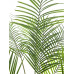 EUROPALMS Großblatt-Areca, Kunstpflanze, 185cm