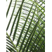 EUROPALMS Phönix Palme deluxe, Kunstpflanze  220cm