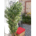 EUROPALMS Bambus Multistamm, Kunstpflanze, 180cm