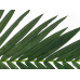 EUROPALMS Kokos-Königspalmwedel, künstlich, 150cm EUROPALMS Kokos-Königspalmwedel, künstlich, 150cm