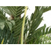 EUROPALMS Kentia Palme, Kunstpflanze, 150cm