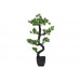 EUROPALMS Bonsai Pinie, Kunstpflanze, 95cm
