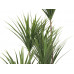 EUROPALMS Yucca Palme, Kunstpflanze, 130cm