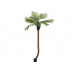 EUROPALMS Phönixpalme luxor gebogen, Kunstpflanze, 240cm