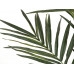 EUROPALMS Kentia Palme, Kunstpflanze, 300cm