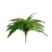 EUROPALMS Boston Farn, Kunstpflanze, 53cm EUROPALMS Boston Farn, Kunstpflanze, 53cm