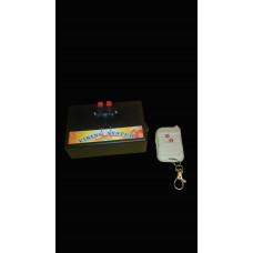 2 Kanal Funkzündanlage